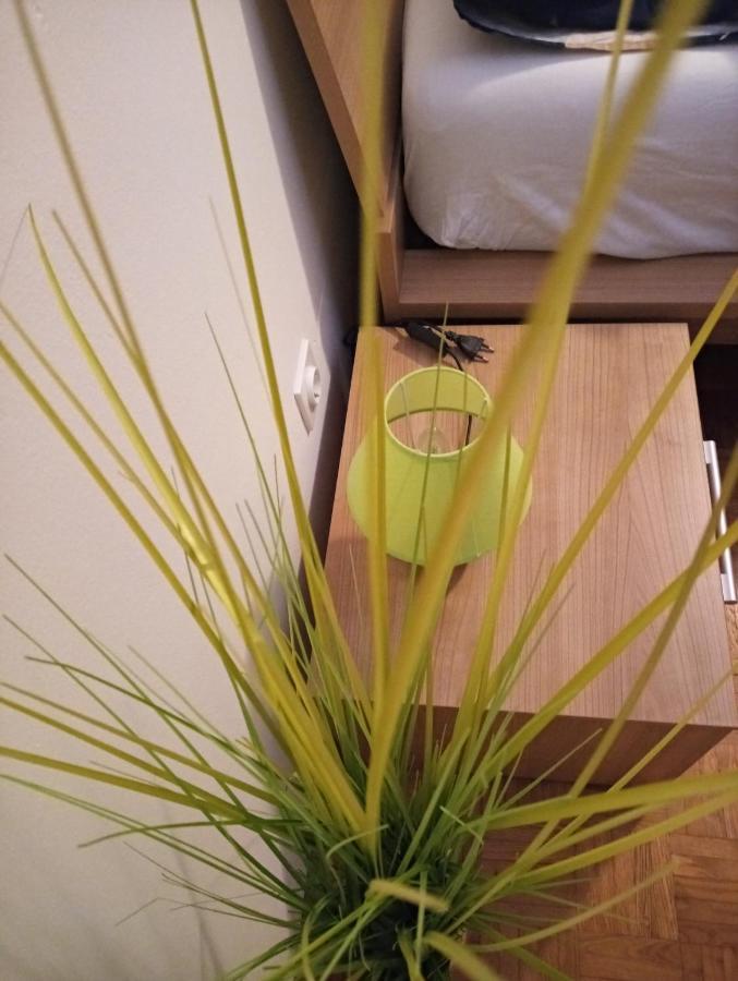 Apartment San Izola - Near The Beach מראה חיצוני תמונה